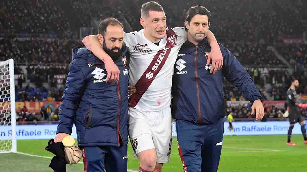 Belotti