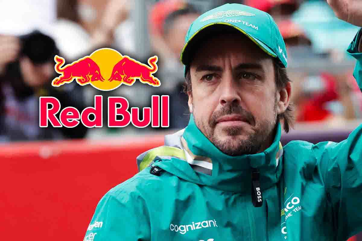 Alonso Red Bull retroscena Helmut Marko